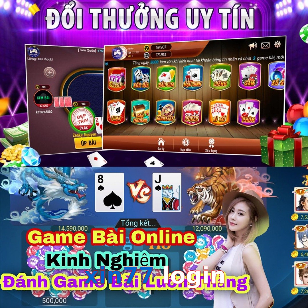 xin77 login