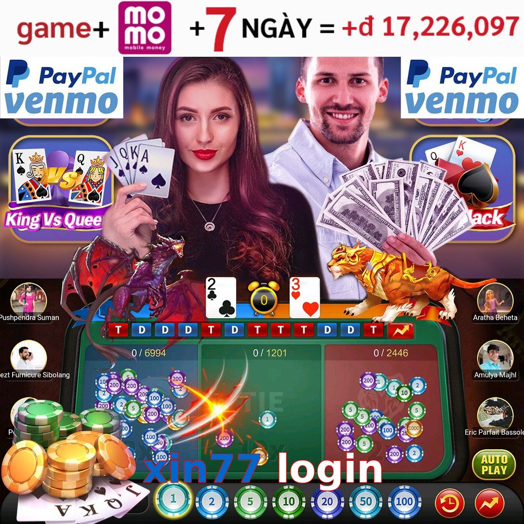 xin77 login