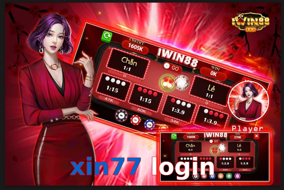 xin77 login