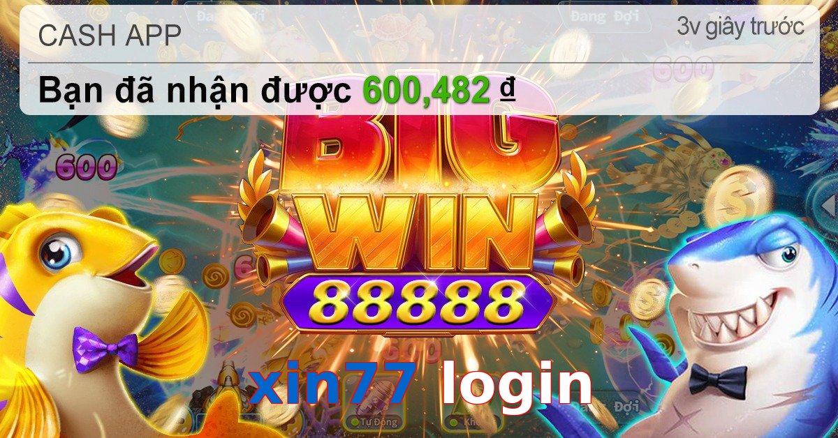 xin77 login