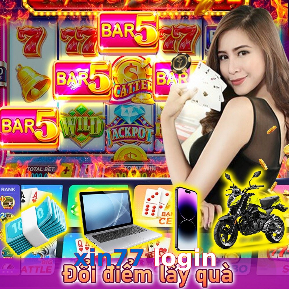 xin77 login